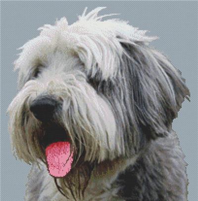 (image for) Old English Sheepdog